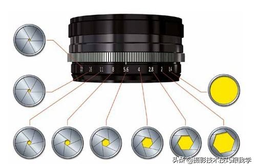 摄影技术有哪些要点,摄影中的景深有什么用
