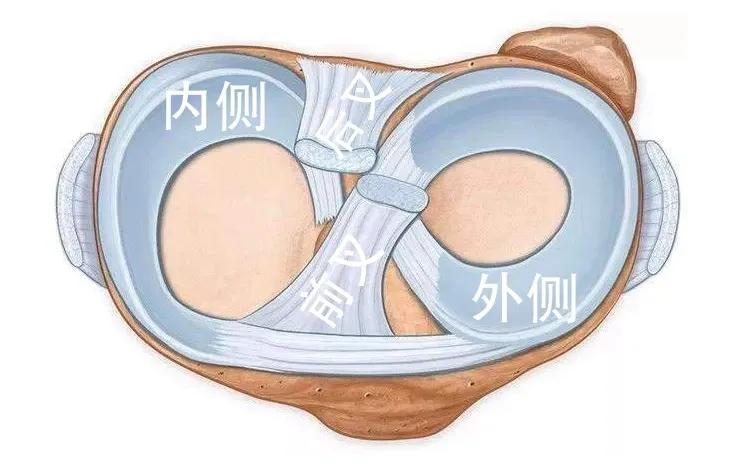 半月板损伤康复,儿童半月板损伤
