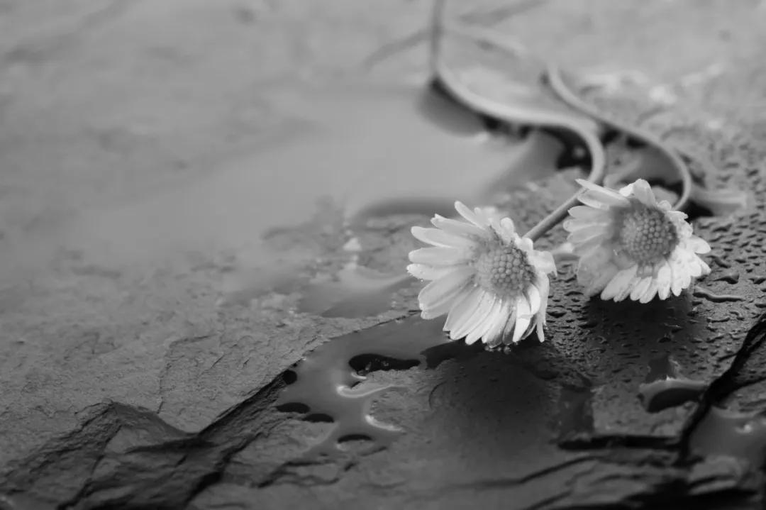 涓惧浗鎮煎康瀹屾暣瑙嗛,涓惧浗鎮煎康