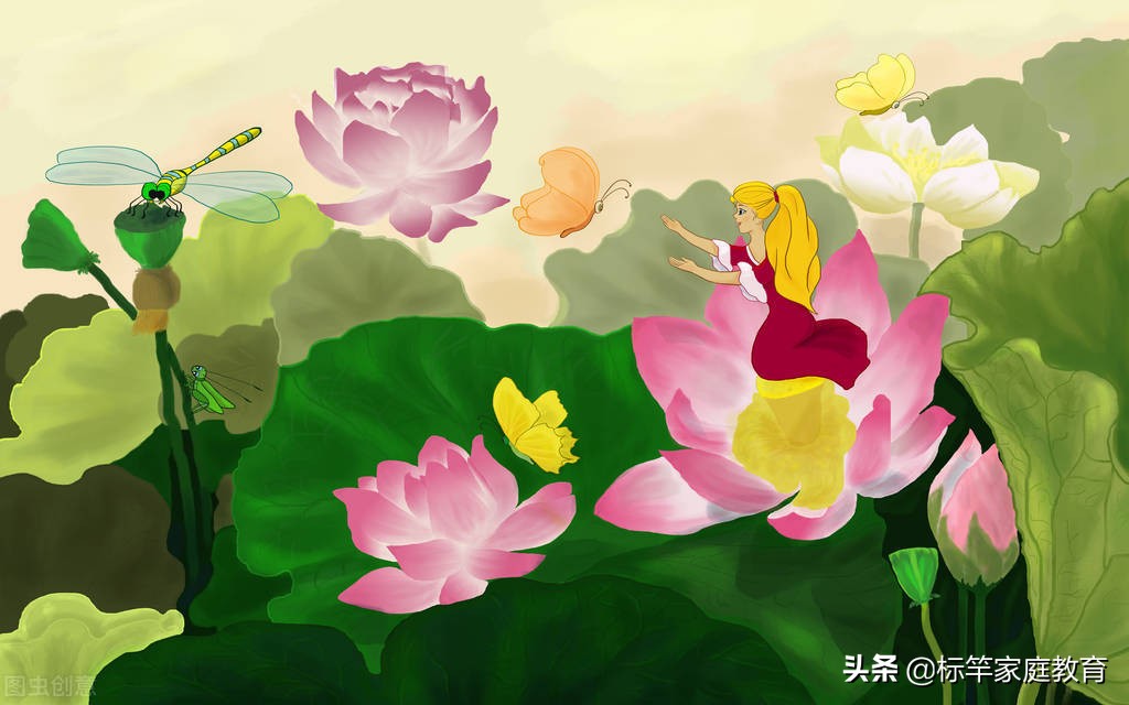 从拇指姑娘身上学到了什么,从拇指姑娘身上我学会了什么