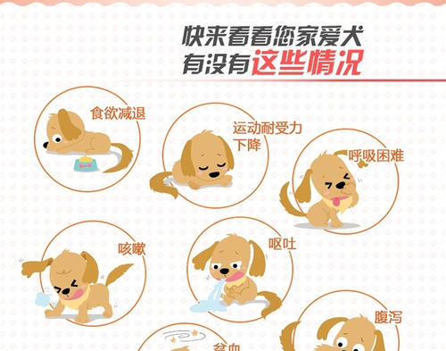 宠物驱虫体内体外一体口服,体内驱虫和体外驱虫间隔多久