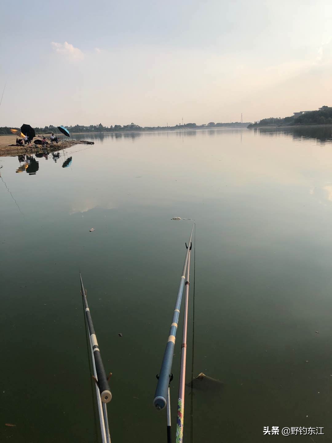 鱼竿和我的匆匆那年