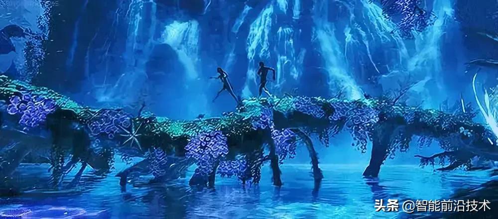 神奇“树联网”，地球本身是一个巨大的超生物体