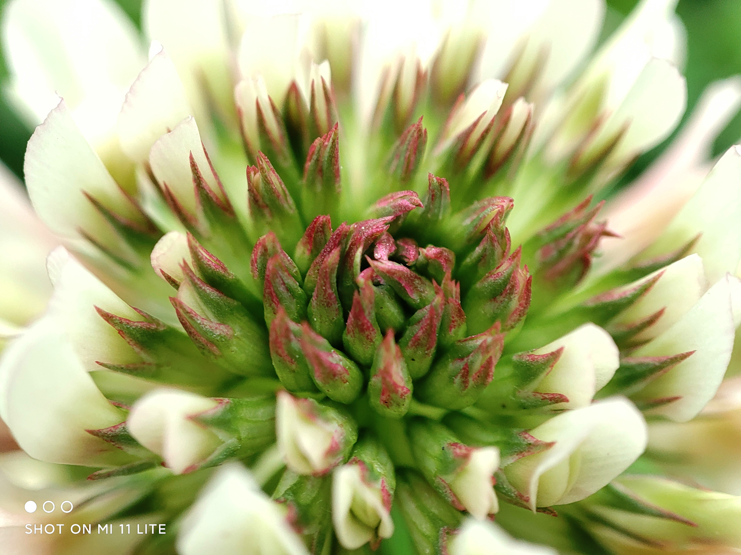 小米11青春版值得入手吗现在,小米11青春版目前还值得买吗