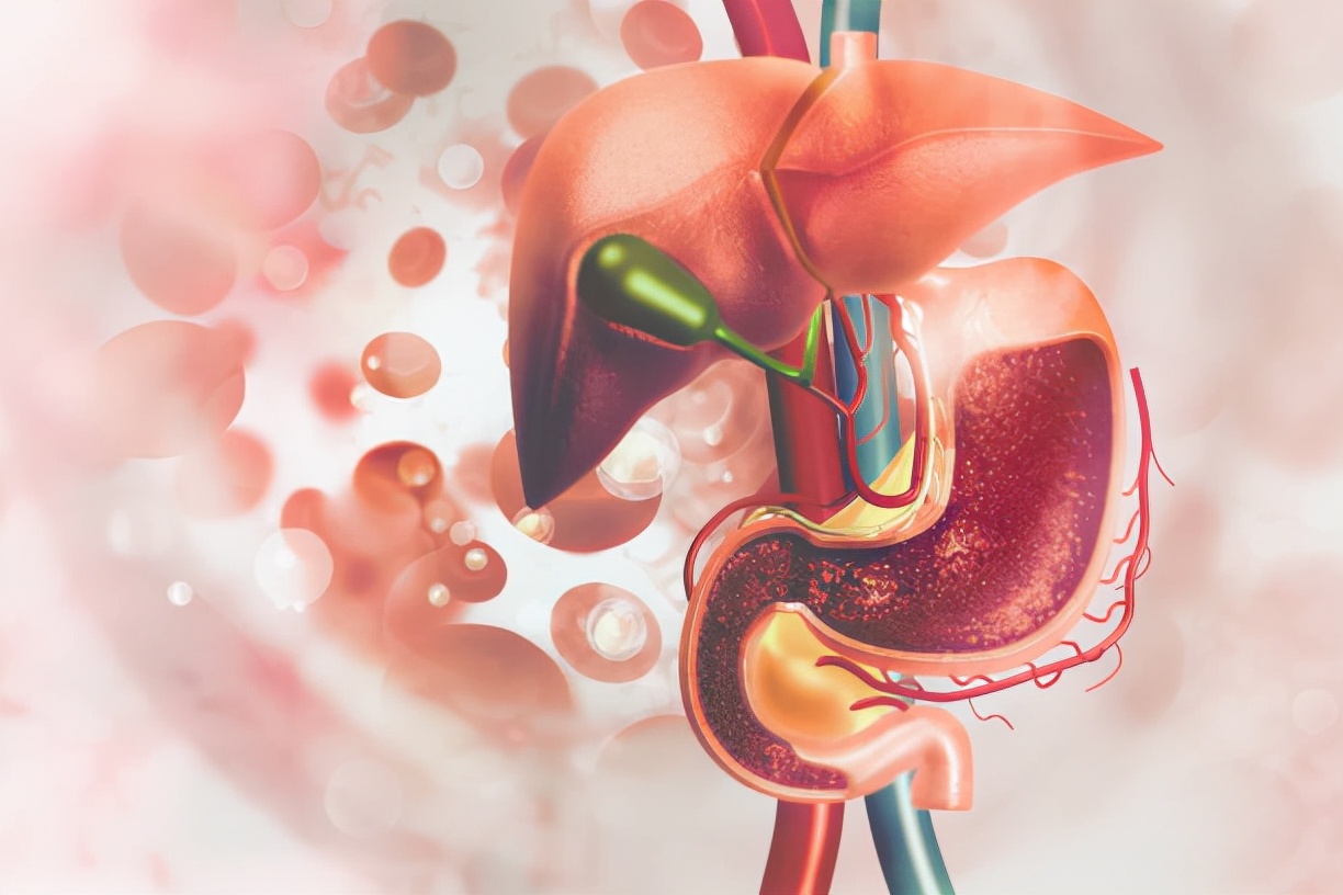 吃过多的蛋白质到底对肾有伤害吗,吃太多蛋白质会加重肾脏负担吗