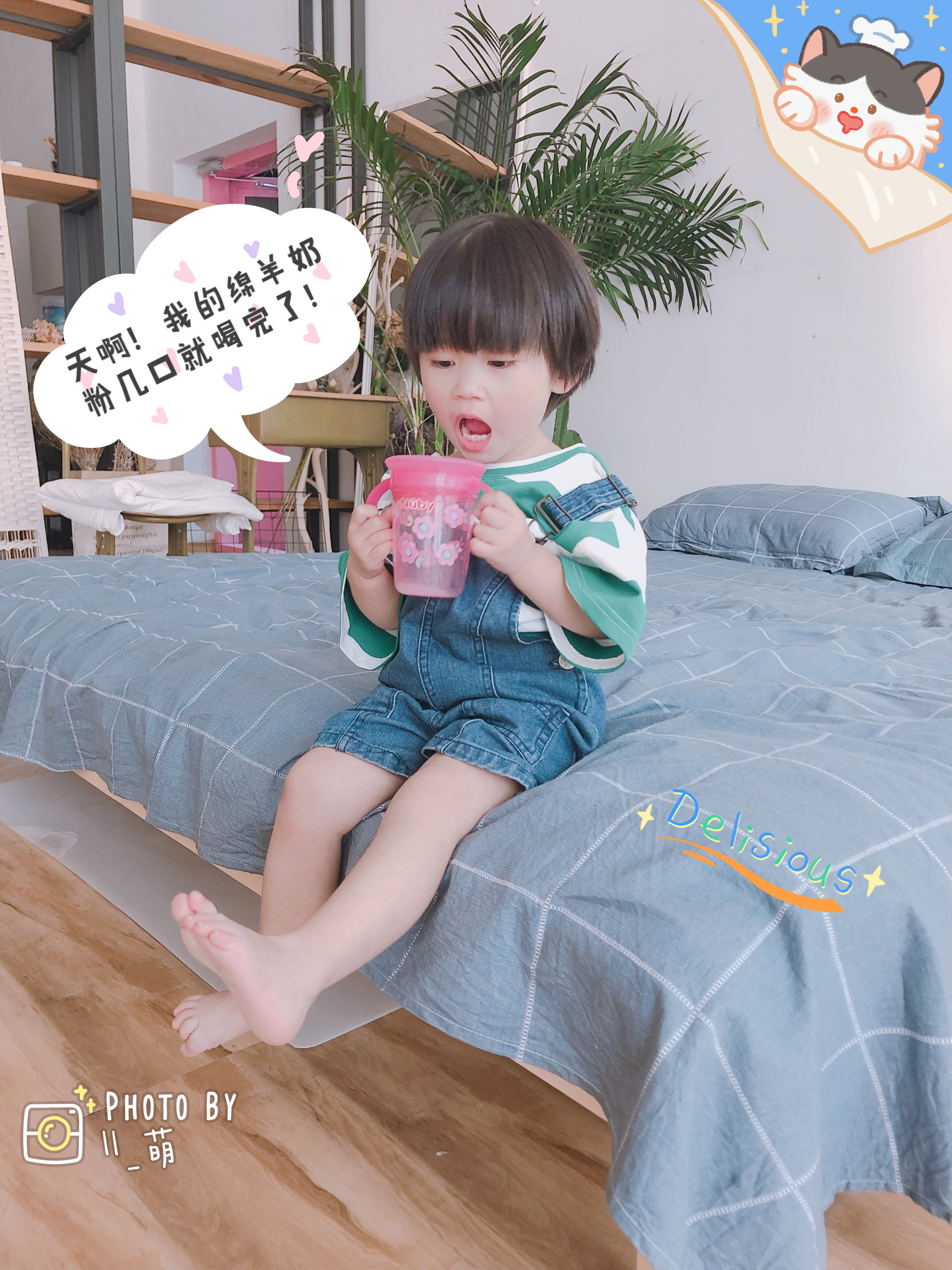 绵羊奶粉和普通奶粉的区别,绵羊奶粉怎么选