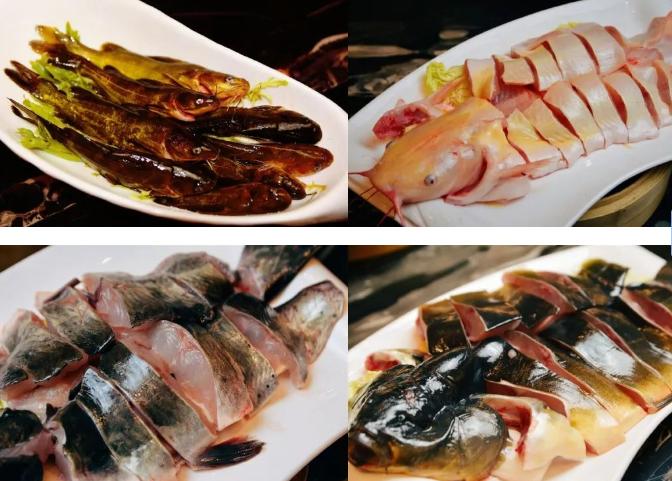 成都友豪锦江酒店自助餐,成都友豪锦江大酒店188自助