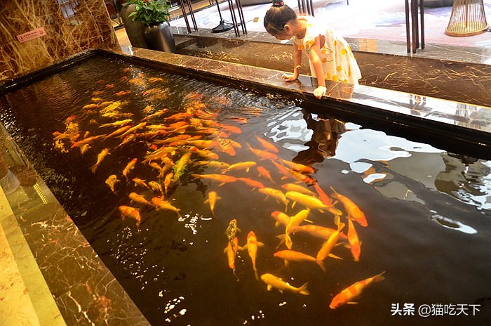 高温天气宅家不无聊,高温暴雨都挡不住人们游玩的步伐