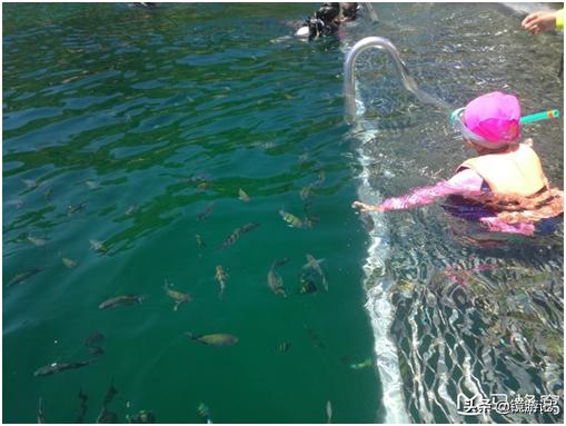 大马美食攻略,大马地方美食