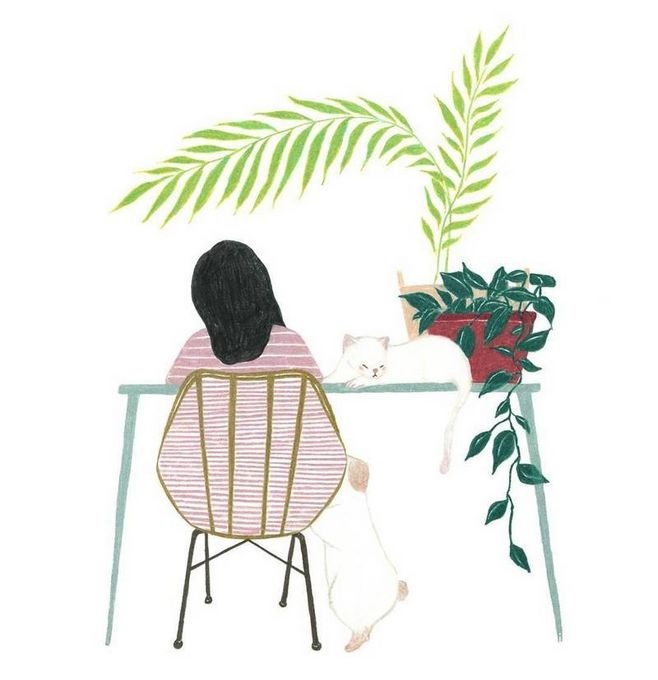 狗狗冷知识大合集视频,狗狗冷知识狗粮