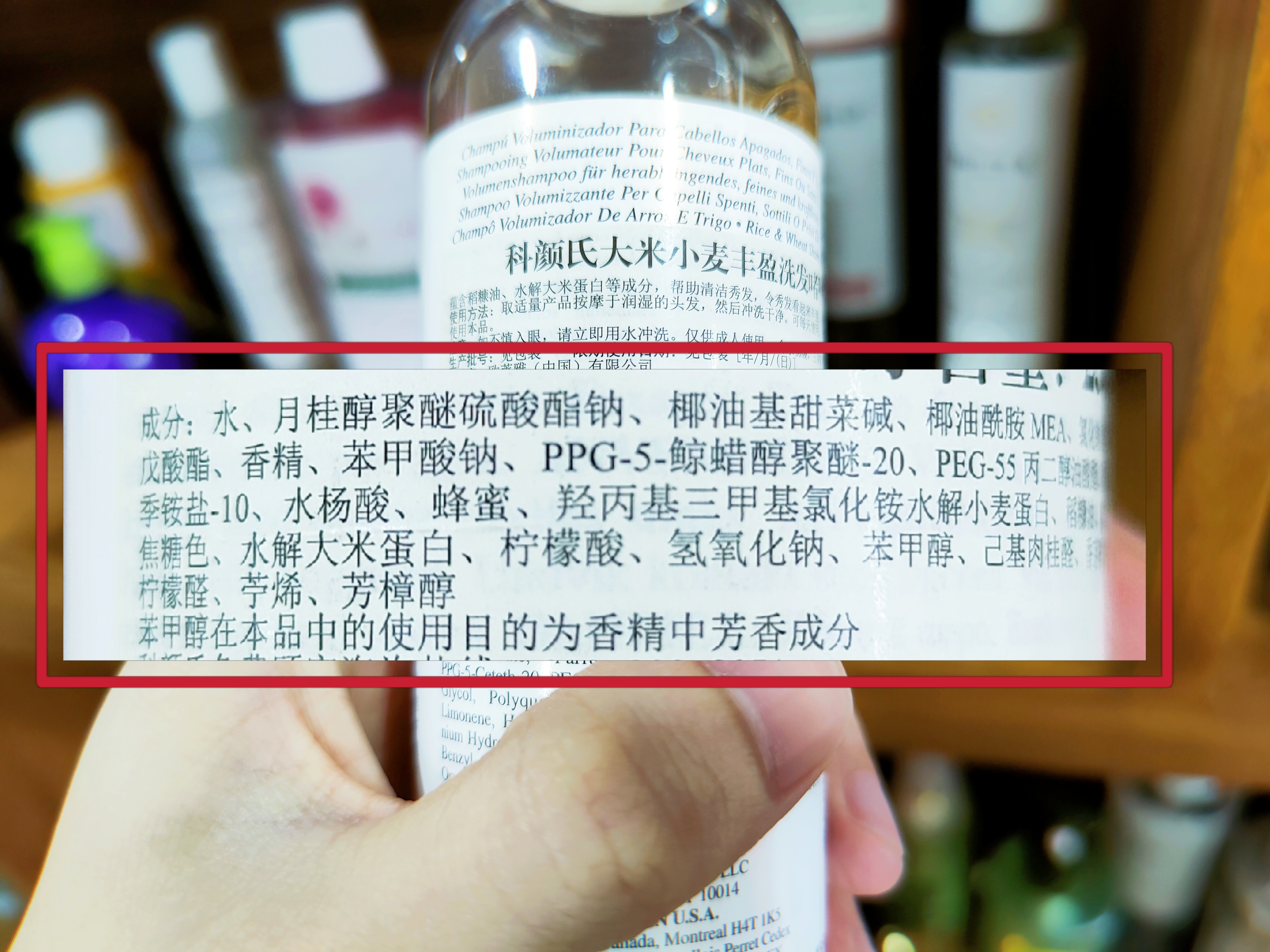 科颜氏大米小麦洗发水500ml,洗发水测评欧莱雅茶树