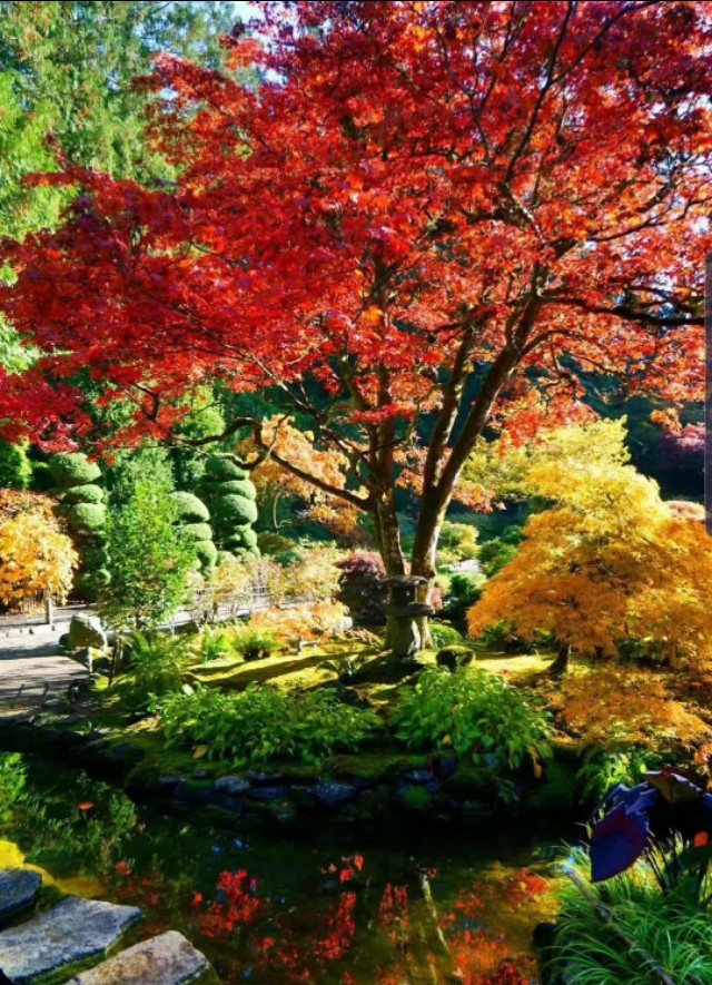 世界上最漂亮的花园图片,布查特花园旅游攻略