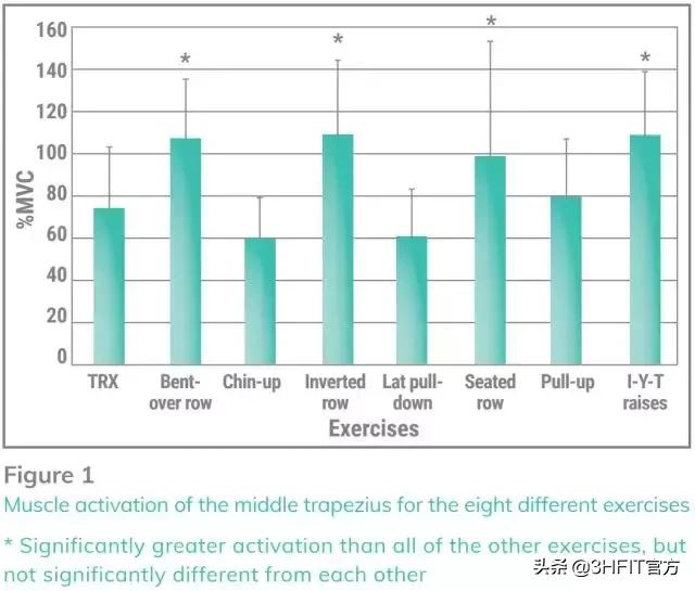 最好的背部训练动作是什么,最好的背部训练动作绳索划船