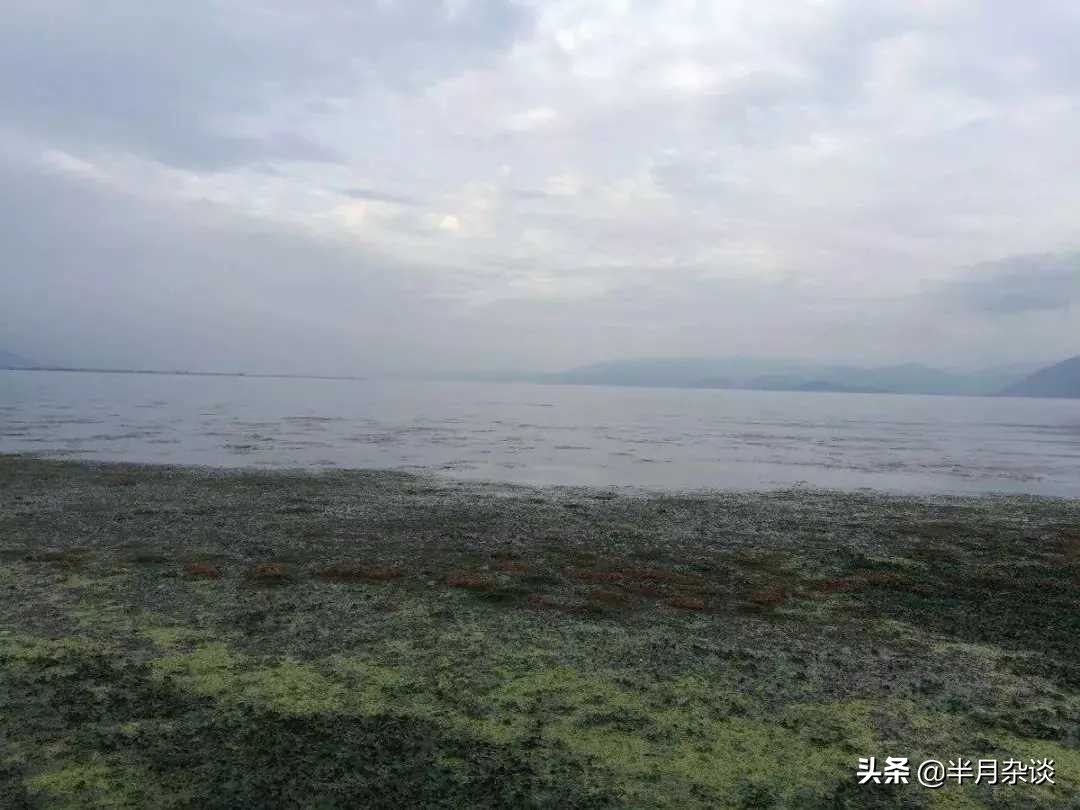 洱海被拆掉的那些海景客栈,洱海整顿还能游洱海吗