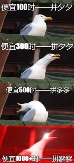 陈欧我为自己代言的广告词是什么,为自己代言的陈欧现在怎样了