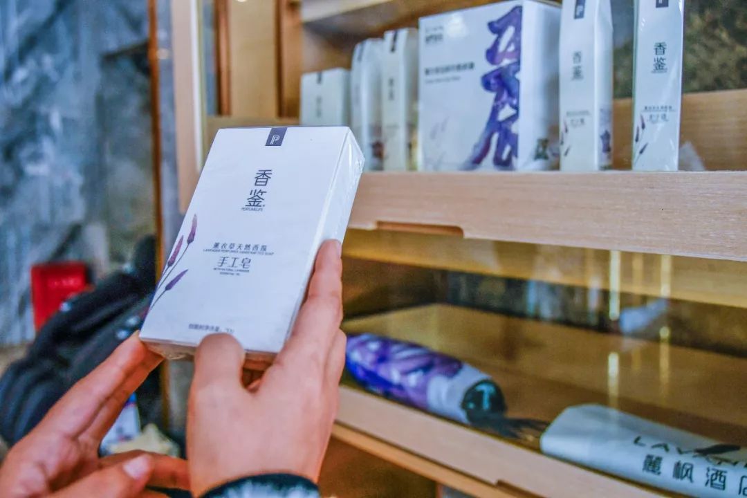 麗枫酒店周末优惠,丽枫酒店优惠券领取