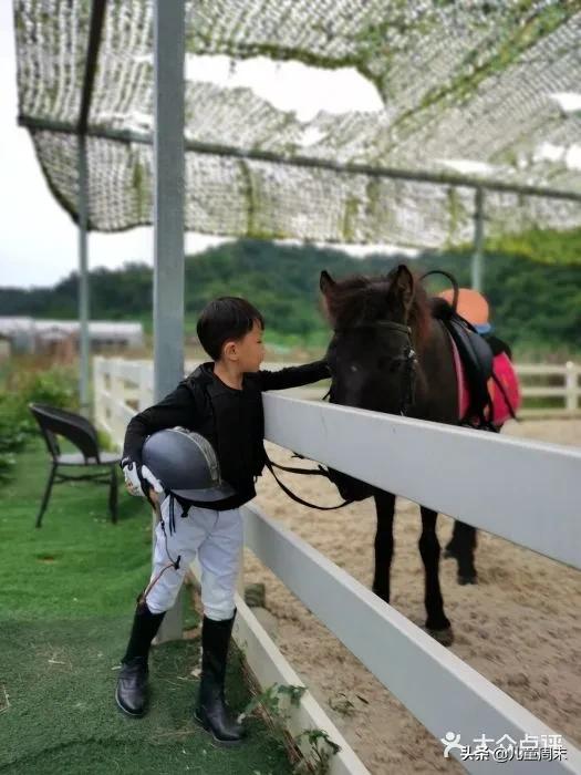 深圳海边骑马地点推荐,深圳骑马最佳地点