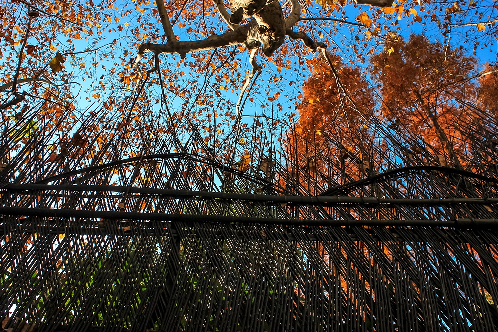 上海法租界一日游,上海旧法租界旅游攻略