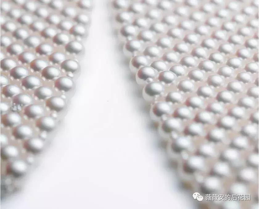 vivian楂樼骇鐝犲疂瀹氬埗,vivian鐝犲疂閽荤煶