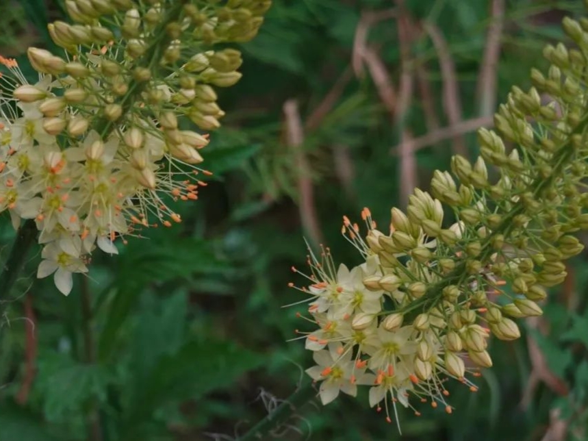 熟背高中英语单词必背3500词,高中三年必背英语单词3500