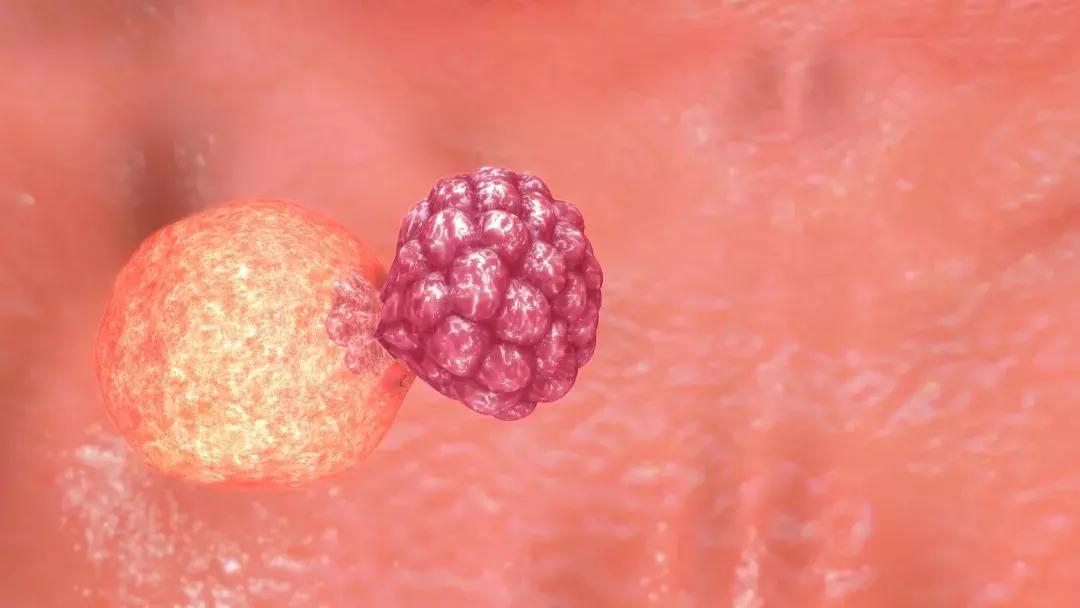 试管婴儿越年轻越好吗,越先进越好吗