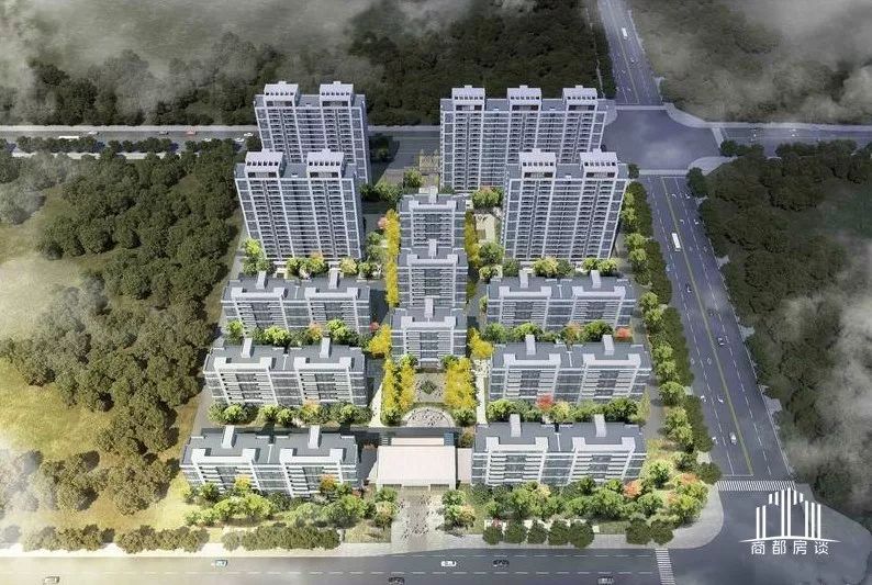 港区南港今后的发展,港区南港情况