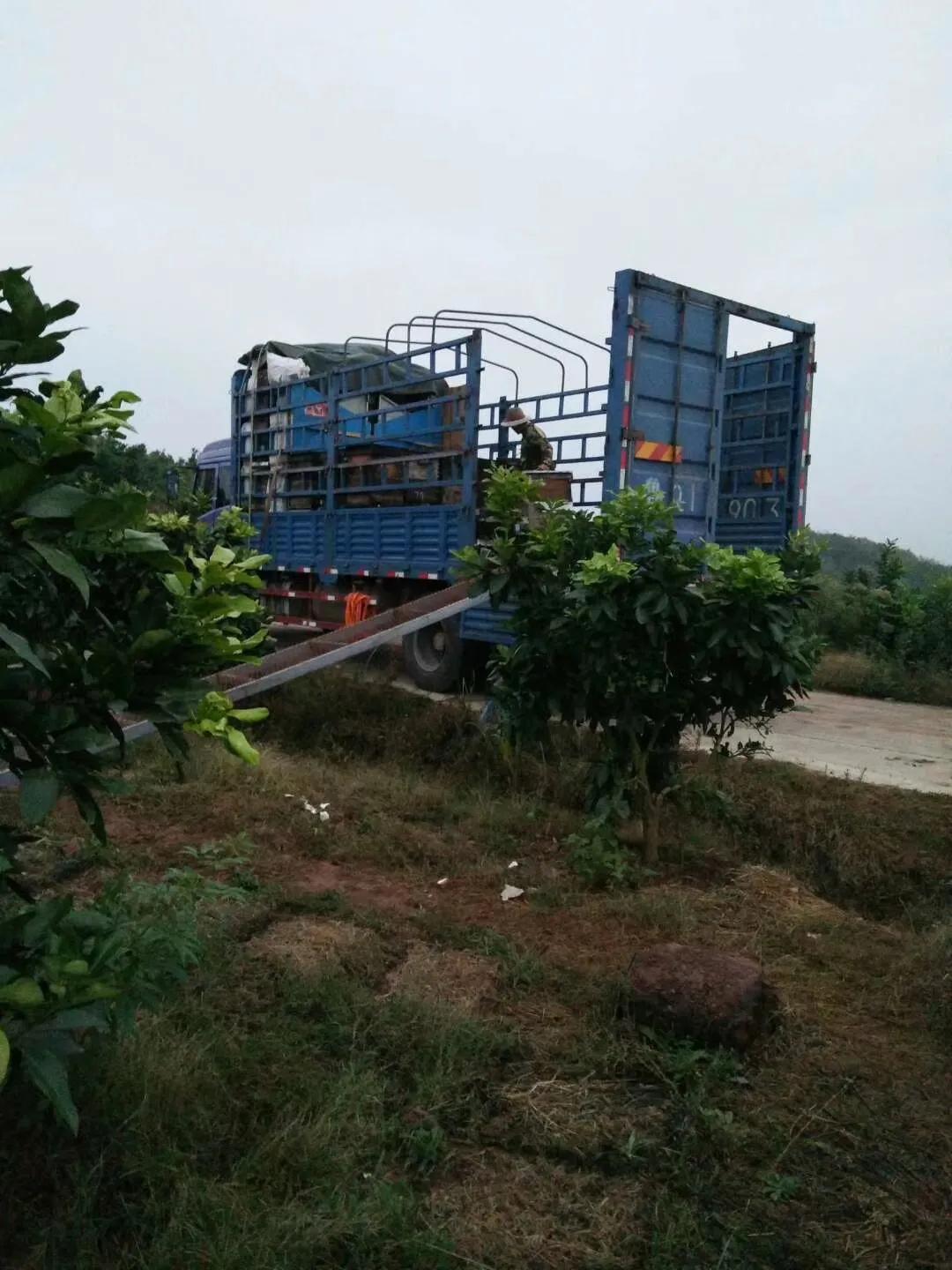 结晶蜂蜜品牌质量排名,捷氏结晶蜂蜜质量怎么样