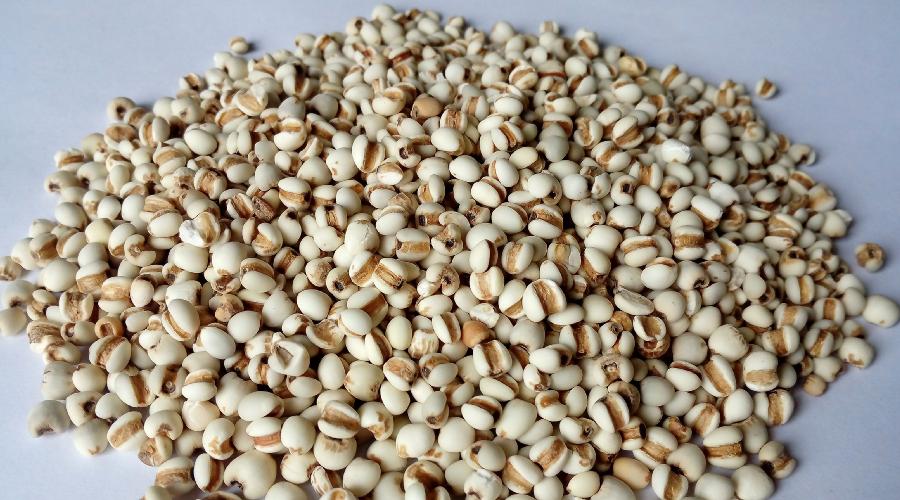 孕妇甲亢应该注意哪些食物,孕妇血糖高需要注意忌口哪些食物