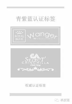 前几年的皮草有哪些款式,珍稀的皮草有哪些