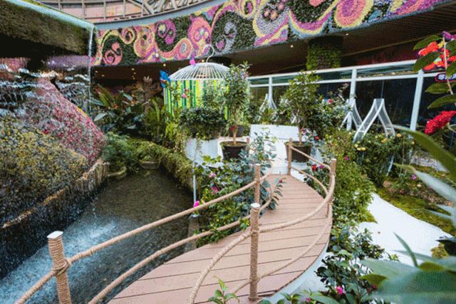 高颜值可爱雪糕,超萌的雪糕