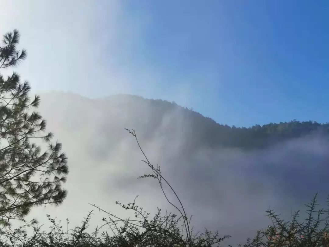 “关注倾听,让爱同行”--昆明三博癫痫术后患者回访