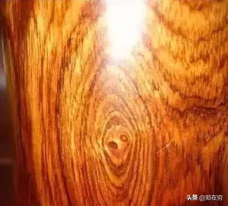 六种常用木材,常见的十种木材