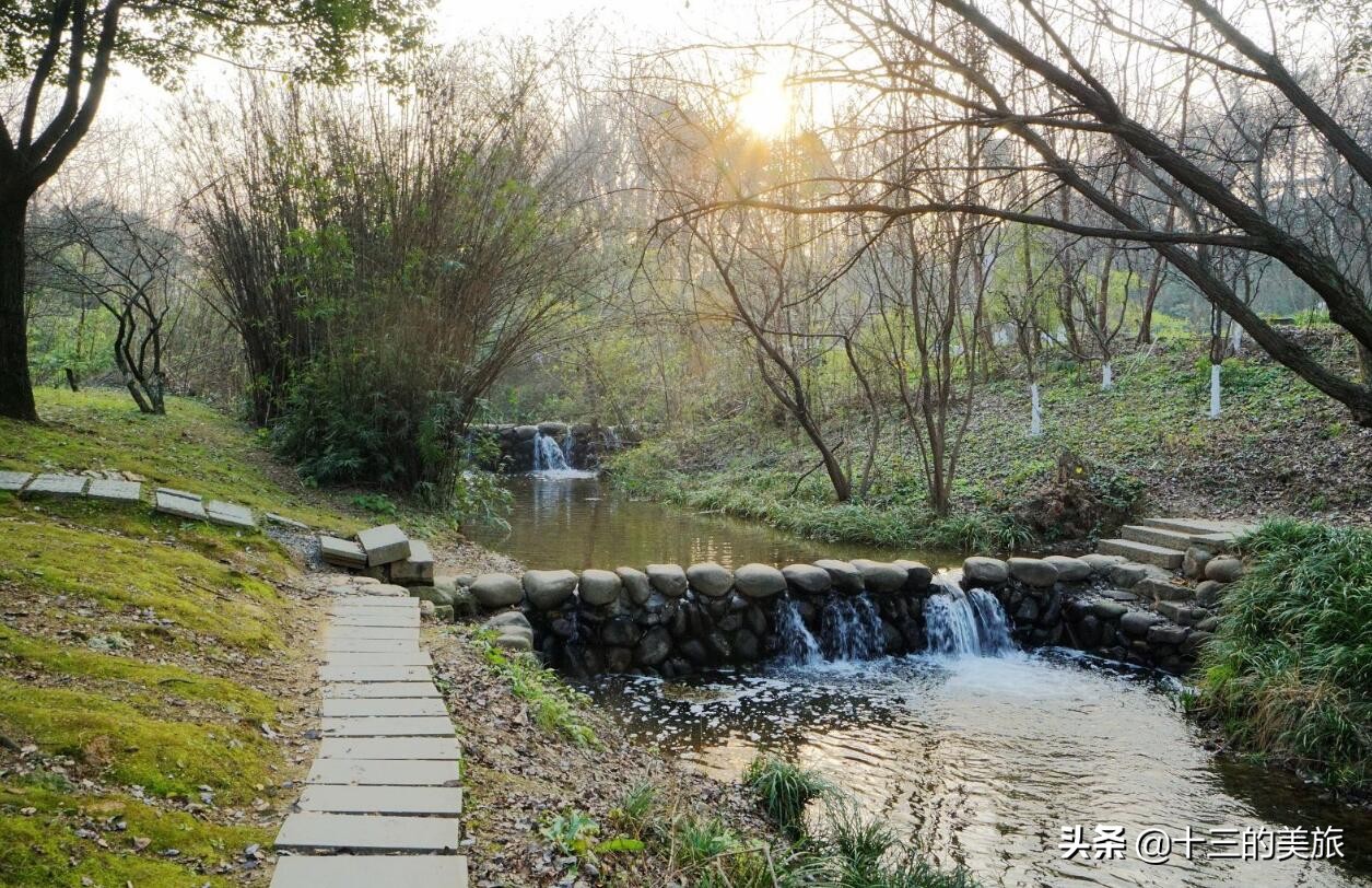 美丽的杭州西湖打卡地风景如画,美翻了银杏湖