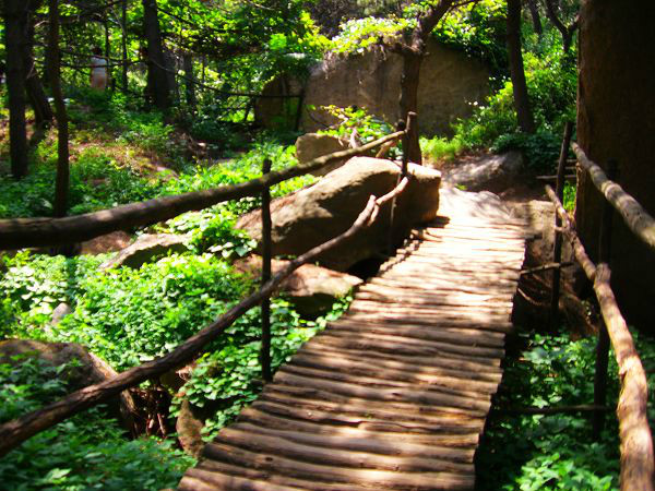 淄博有什么好玩的地方啊,淄博有几个好玩的地方