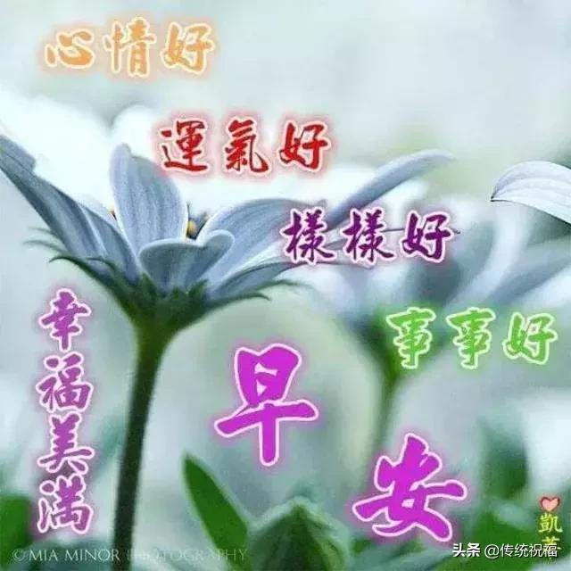 每天问候早上好祝福语短句,早上好祝福问候语大全简短暖心