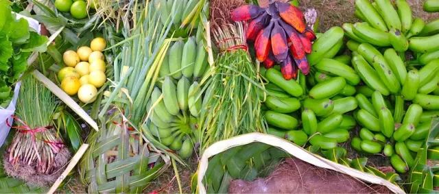 新西兰也有“小弟”纽埃（Niue），官方货币上竟然是比卡丘