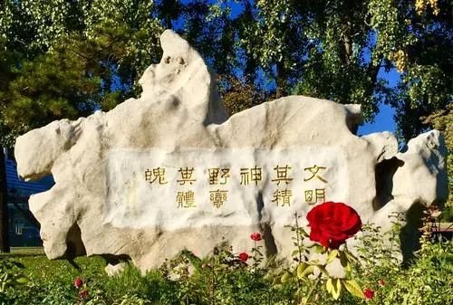 美团老板吐槽国足视频,美团调侃国足