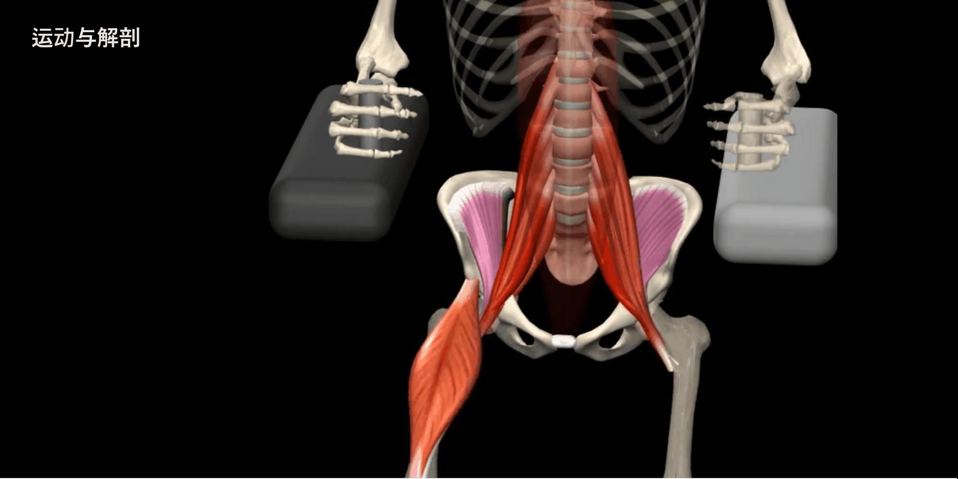 给大家示范一下练腹肌最好办法,又快又有效又简单的腹肌怎么练