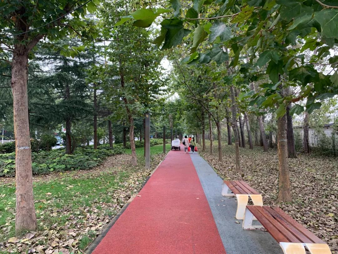 百年老院发新芽！市属医院北扩填空白，郑州市三院北院区开诊