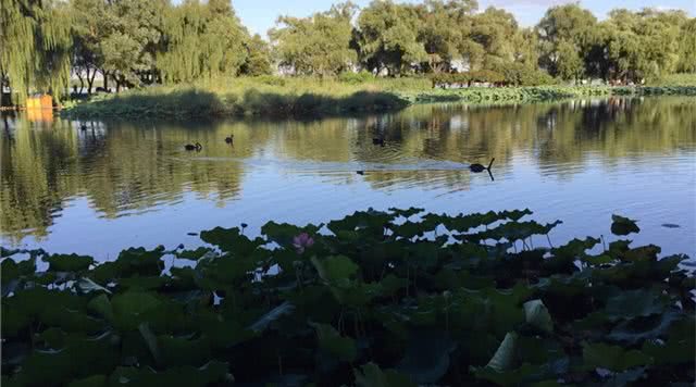 「辽宁篇」辽宁4*级A**山川类景点推荐