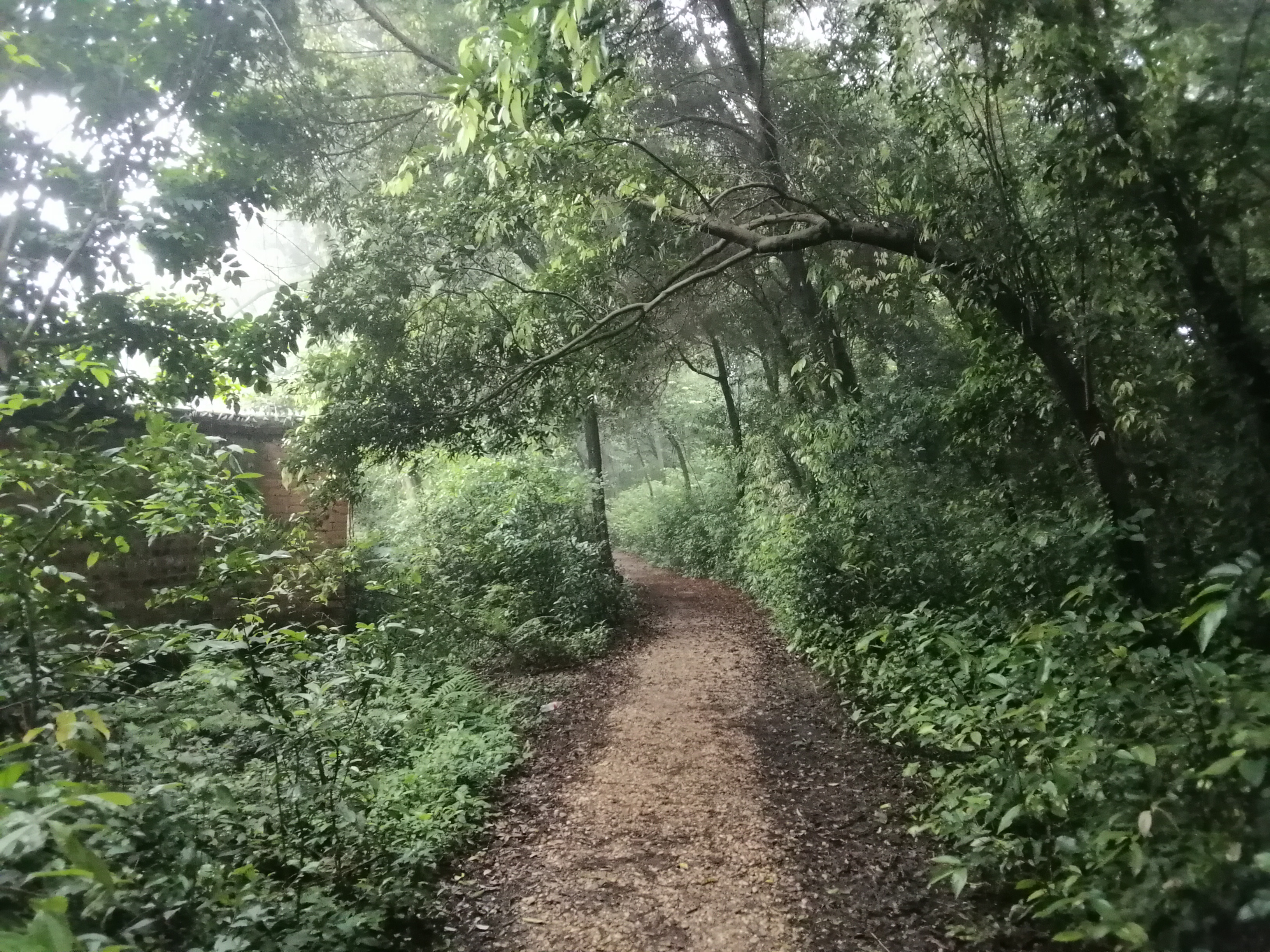 平板荣耀平板5,9成新荣耀平板5