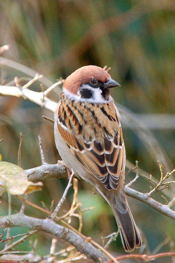 面对糟蹋粮食该怎么办,面对不劳而获的人我们应该怎么办
