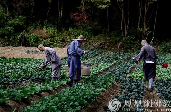 五祖寺和五祖禅院有什么区别,农禅合一起源