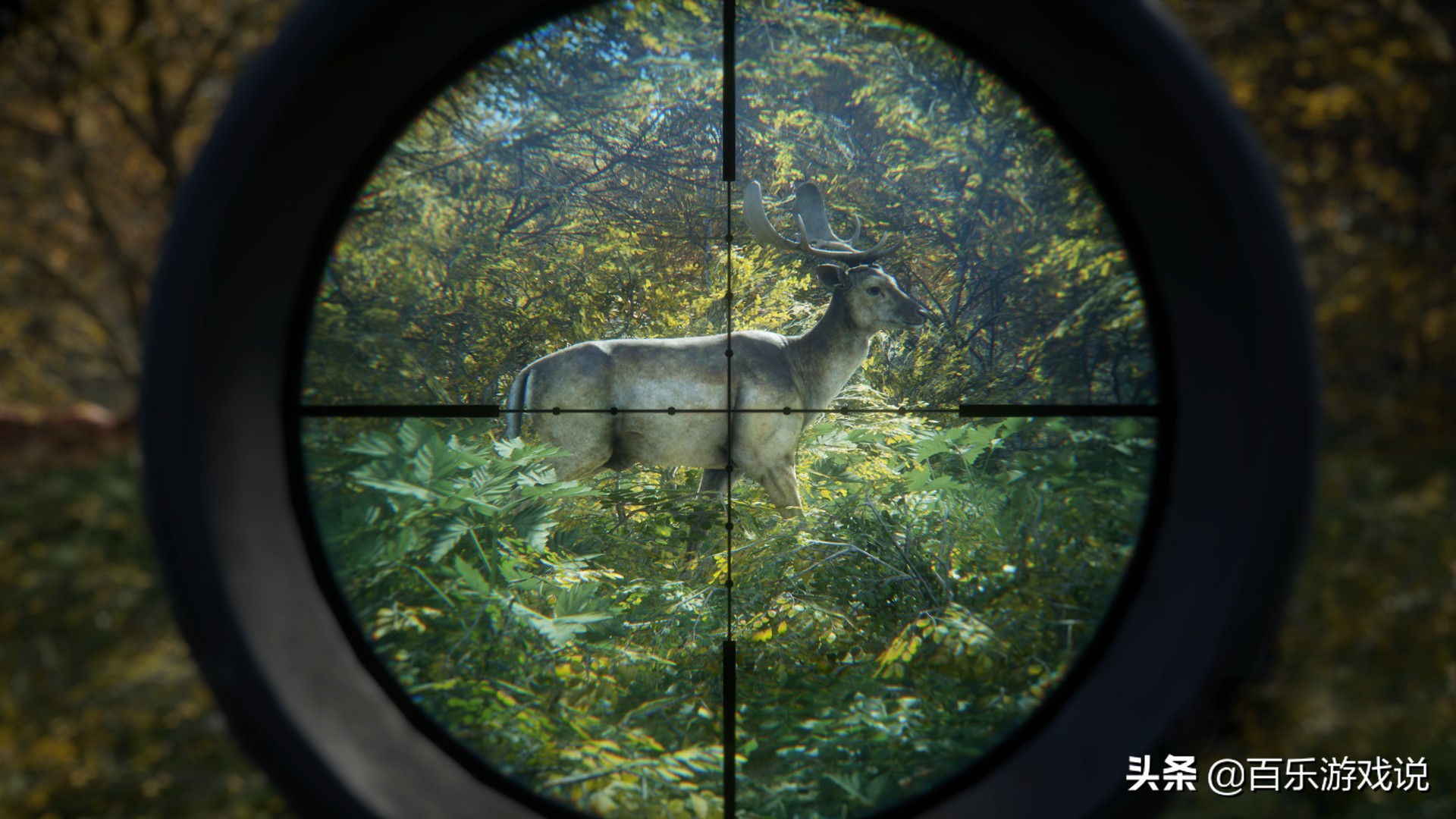 《荒野的召唤》值得购买吗?妈妈我想吃烤鹿肉,吃!两块够吗?