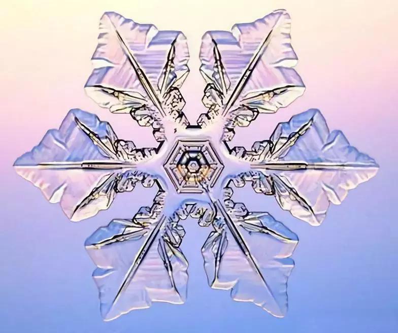 邯郸雪下哪里了,雪如约而至周末天气怎么样