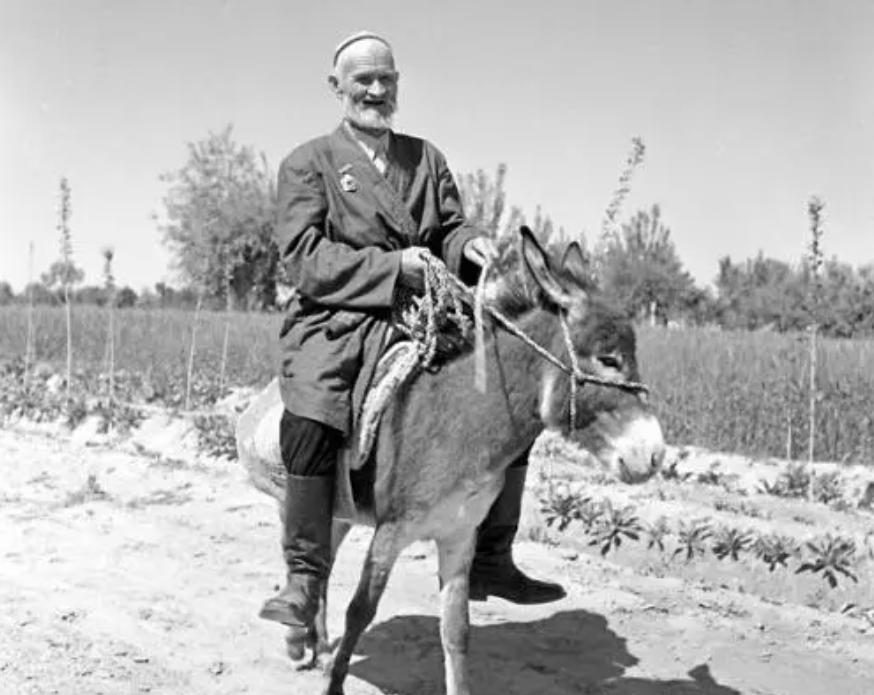 骑毛驴去看毛主席的库尔班,临终:后代参军报国,重孙女完成遗愿