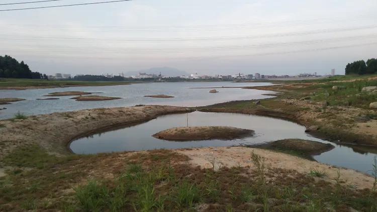 莆田梅峰小学历史,福建省荔城区梅峰小学