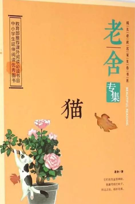 钱钟书和林徽因的护猫之战 (钱钟书的猫跟谁的猫打过架)