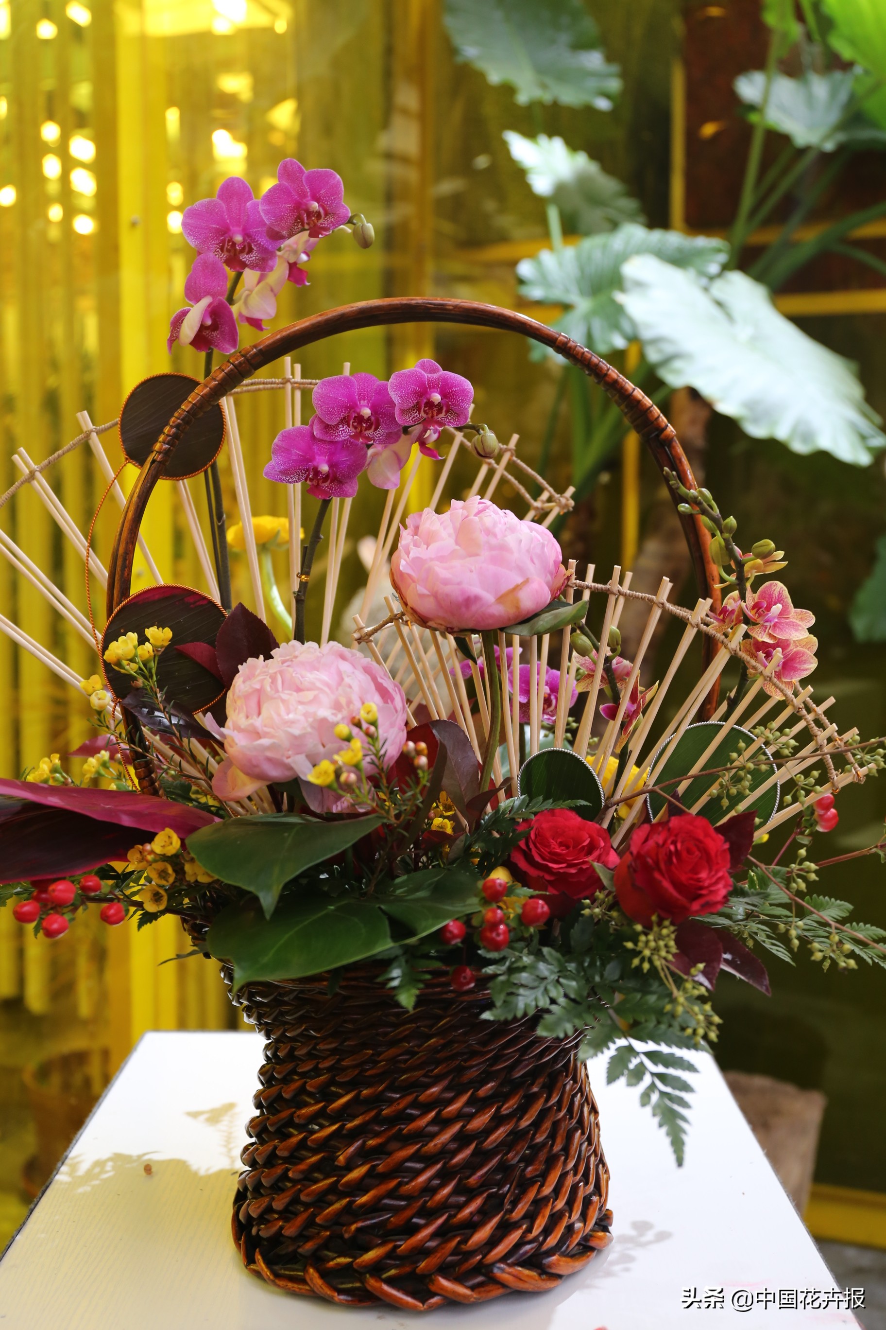 北京迎春花展,北京春季花展时间表