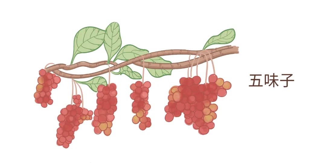 春季皮肤过敏吃什么抗过敏药,春季易过敏教你几个抗敏妙招